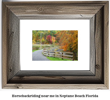 horseback riding near me in Neptune Beach, Florida